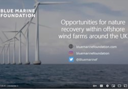 proposal summary